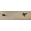 Sonde de température lave vaisselle