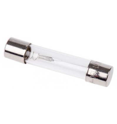 Fusible verre Temporisé 220V/240V 100Ma 